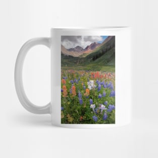 Alpine flowers in Rustler's Gulch, USA (C006/6000) Mug